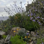 La Casita Del Sendero