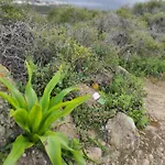 La Casita Del Sendero La Guancha